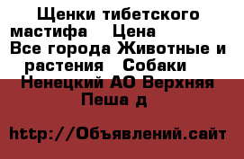 Щенки тибетского мастифа. › Цена ­ 30 000 - Все города Животные и растения » Собаки   . Ненецкий АО,Верхняя Пеша д.